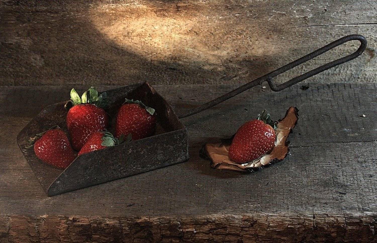 , Татьяна Алешина