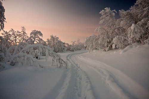 ***По заснеженной дороге***
