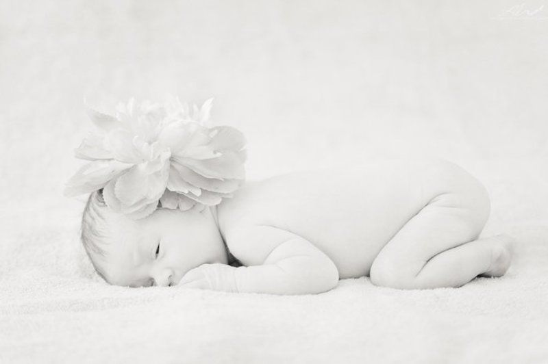 ***** фото превью