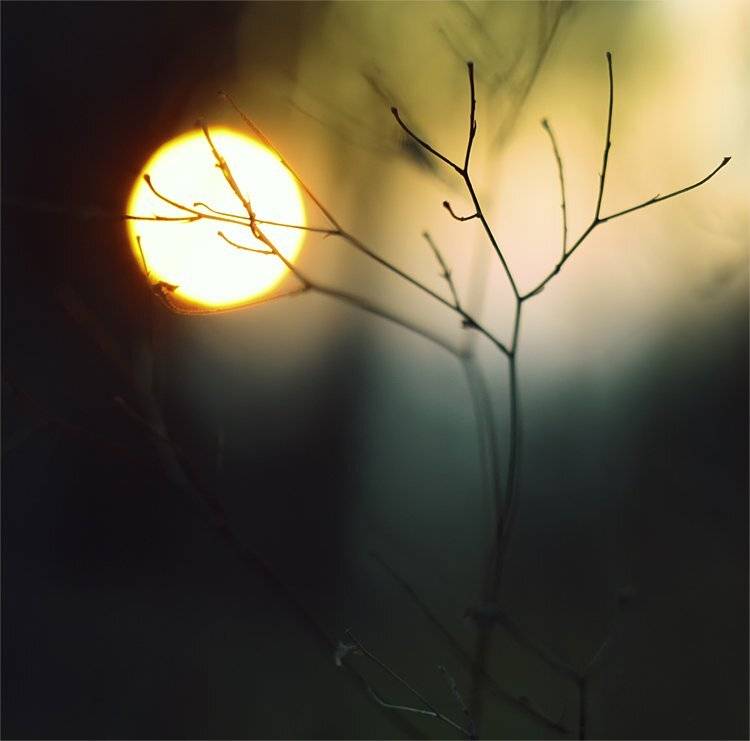 , Наталья Ова