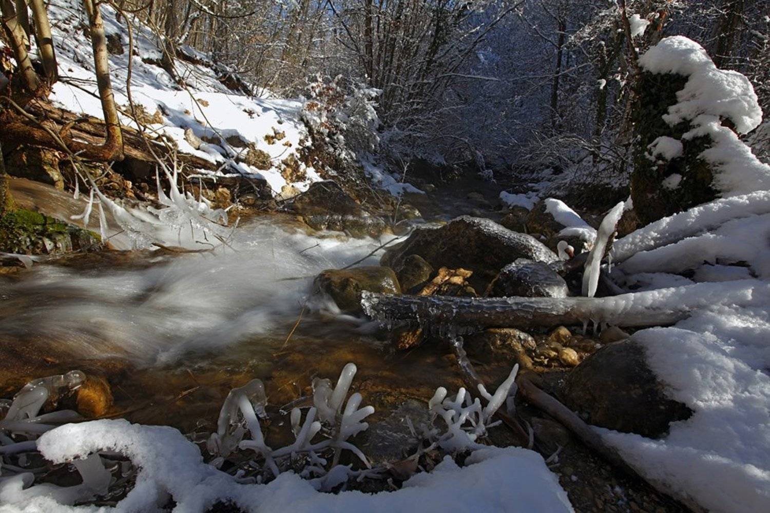 зима, ручей, вода, брызги, свет, деревья, снег, лед, лес, крым, природа,, Сергей Шульга