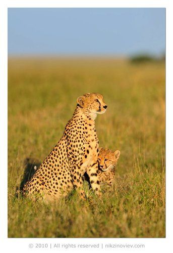 Как у людей