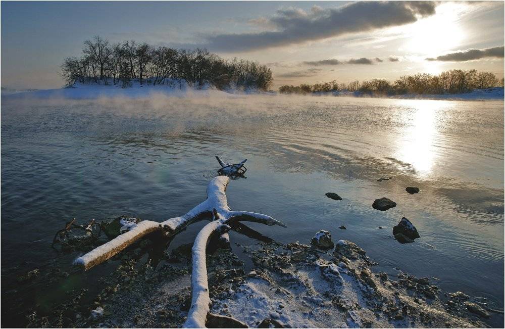 подмосковье, зима, январь, островцы, москва- река, природа, Сергей Гаспарян