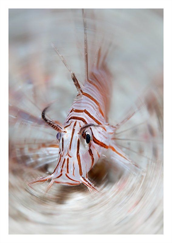 Завихрение фото превью