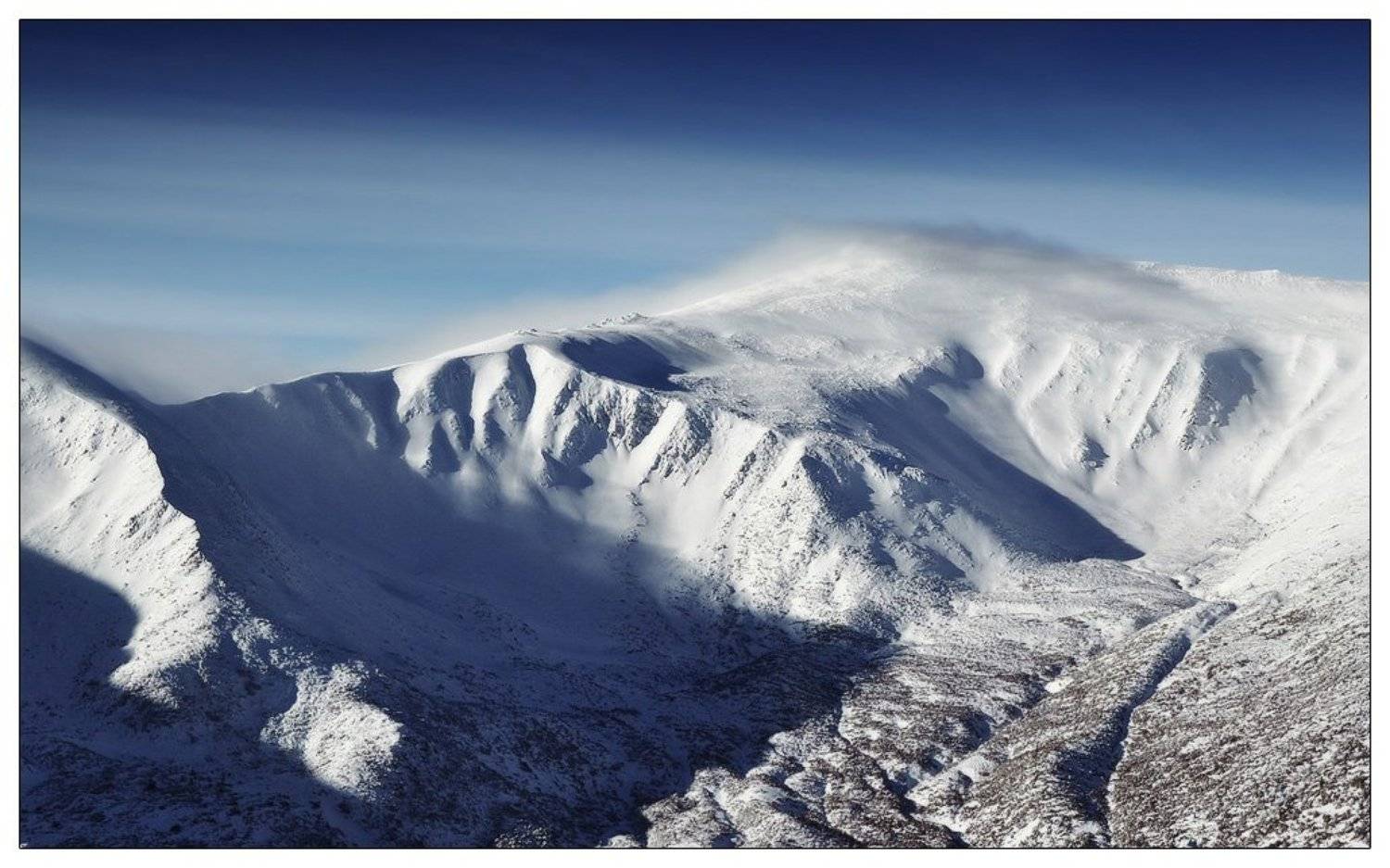 , Денис Кривой