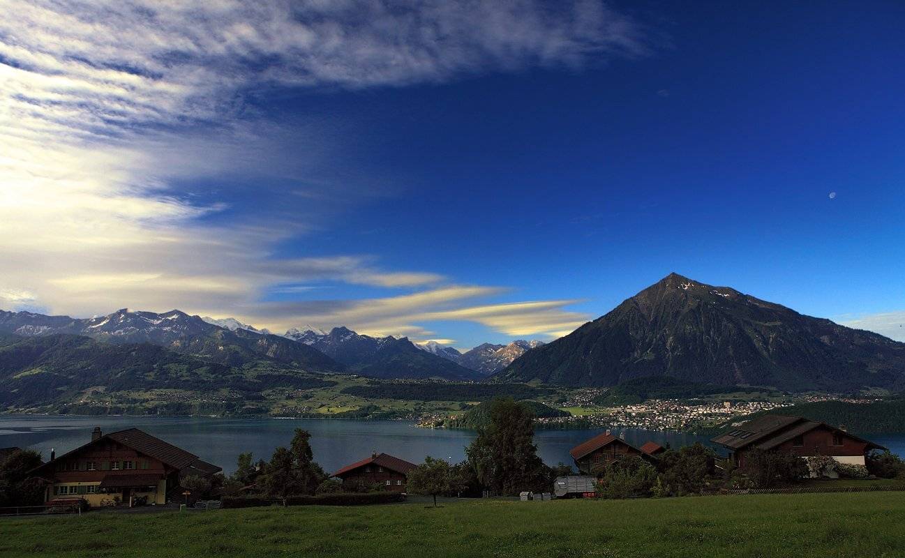 swiss,тун, Матвеев Николай