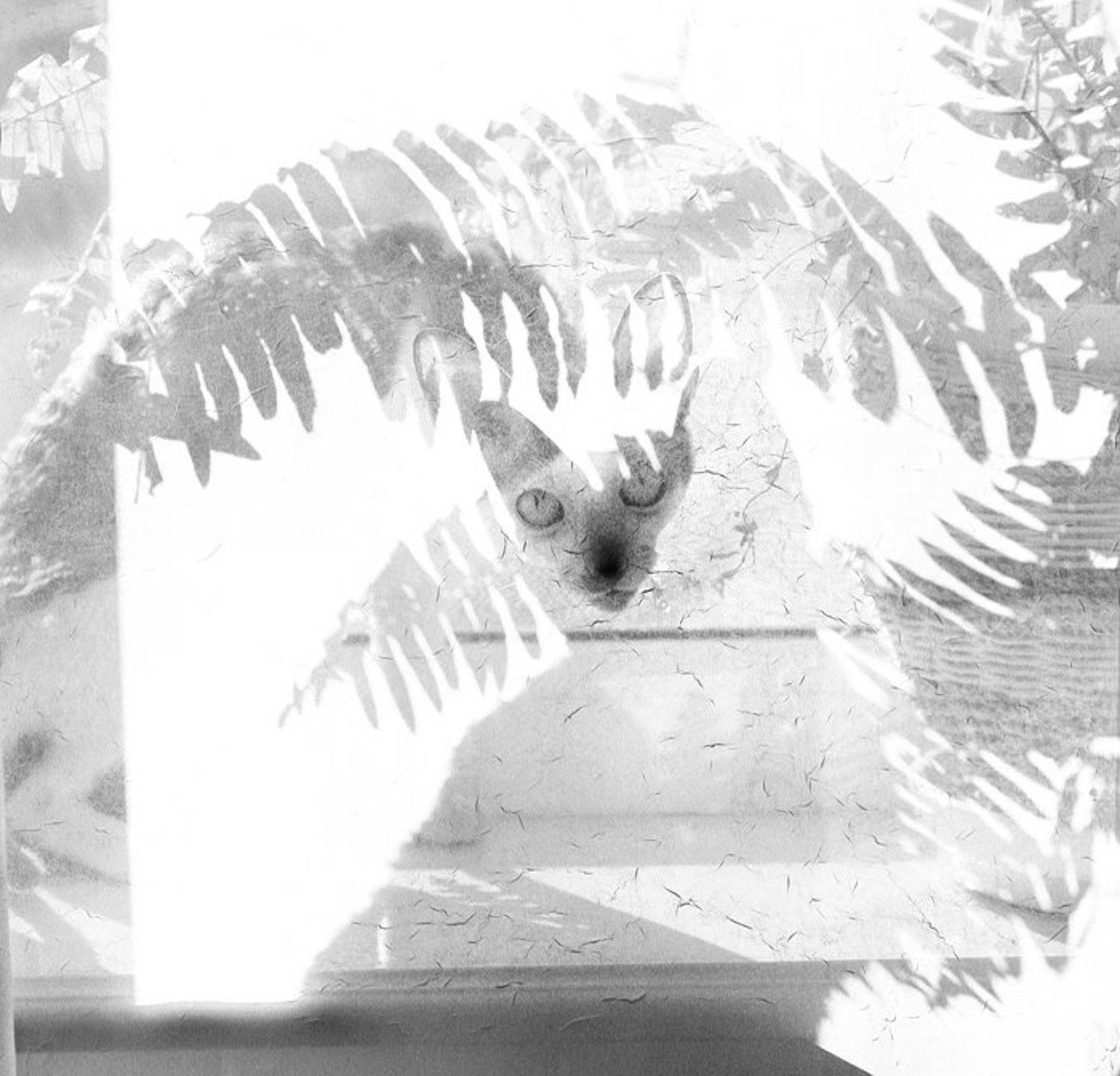 , Siren (Анна Беркоз)