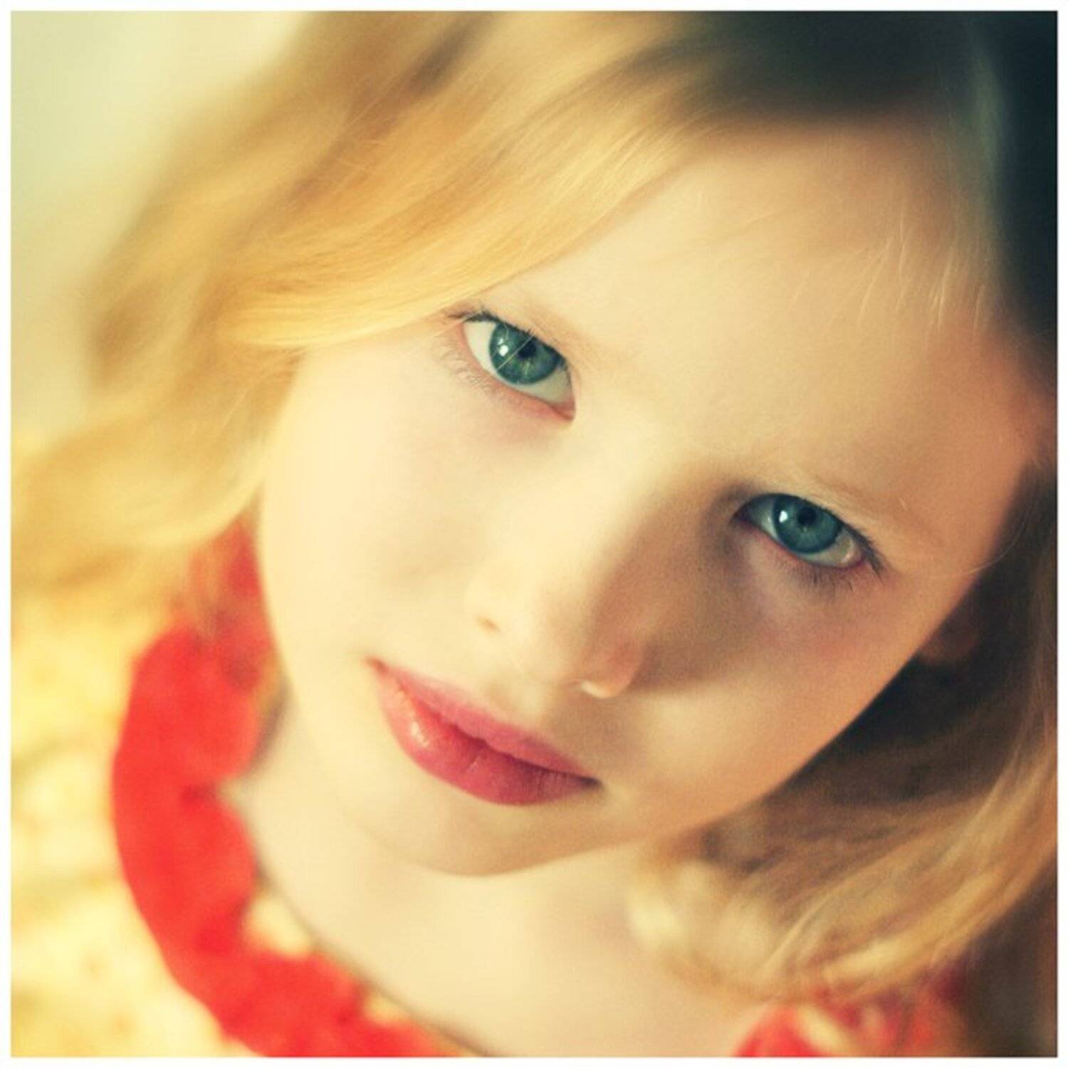 , Константин Стародубцев