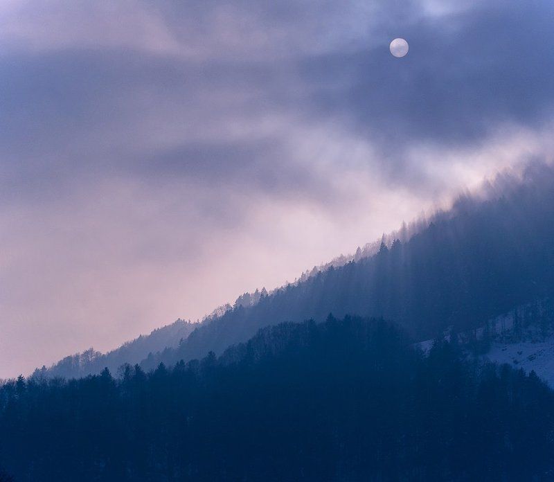 Misty фото превью