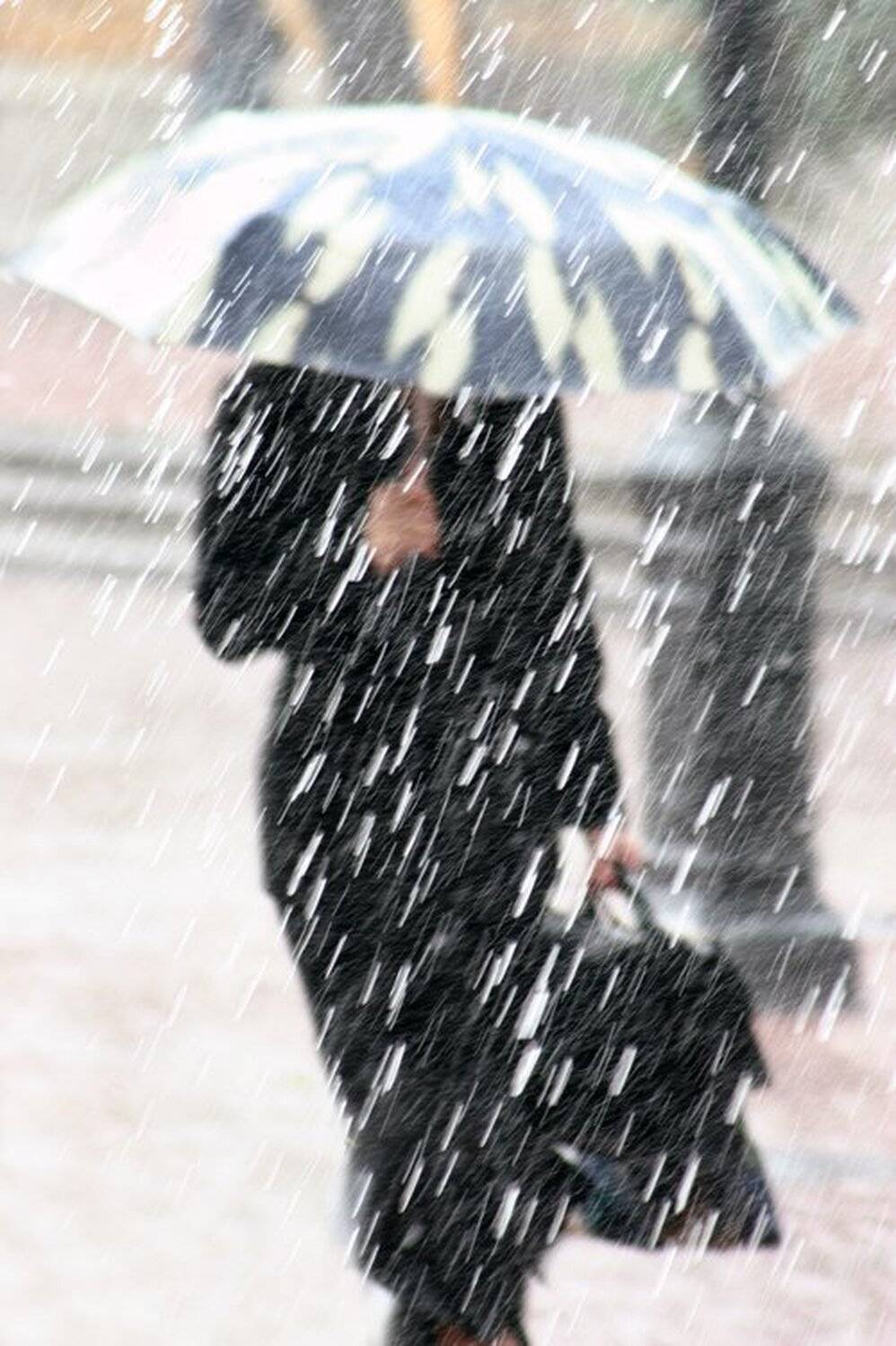 , Алекс Ветер