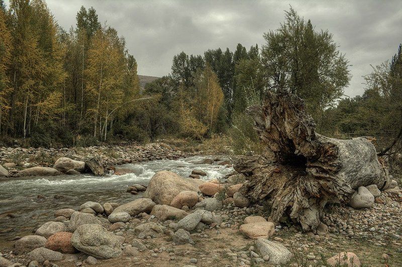 лес, река, тучи, камни, пейзаж Погибший исполин. фото превью