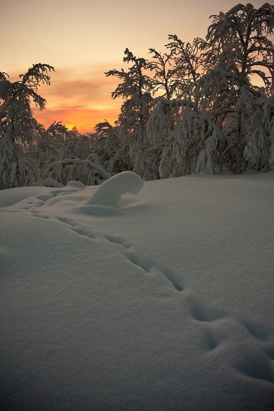 кольский, полуостров, зима ***** фото превью