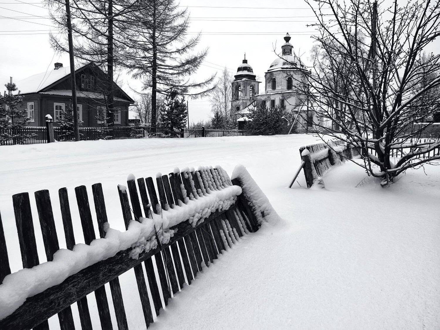 , Максим Евдокимов