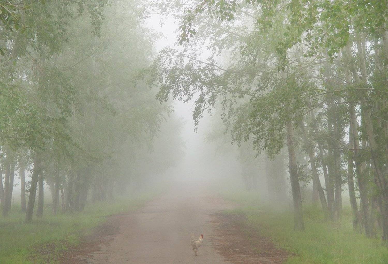 , Константин Буркин