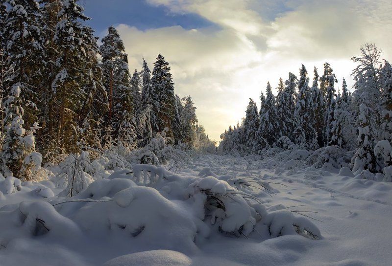 Зима в Мещере фото превью
