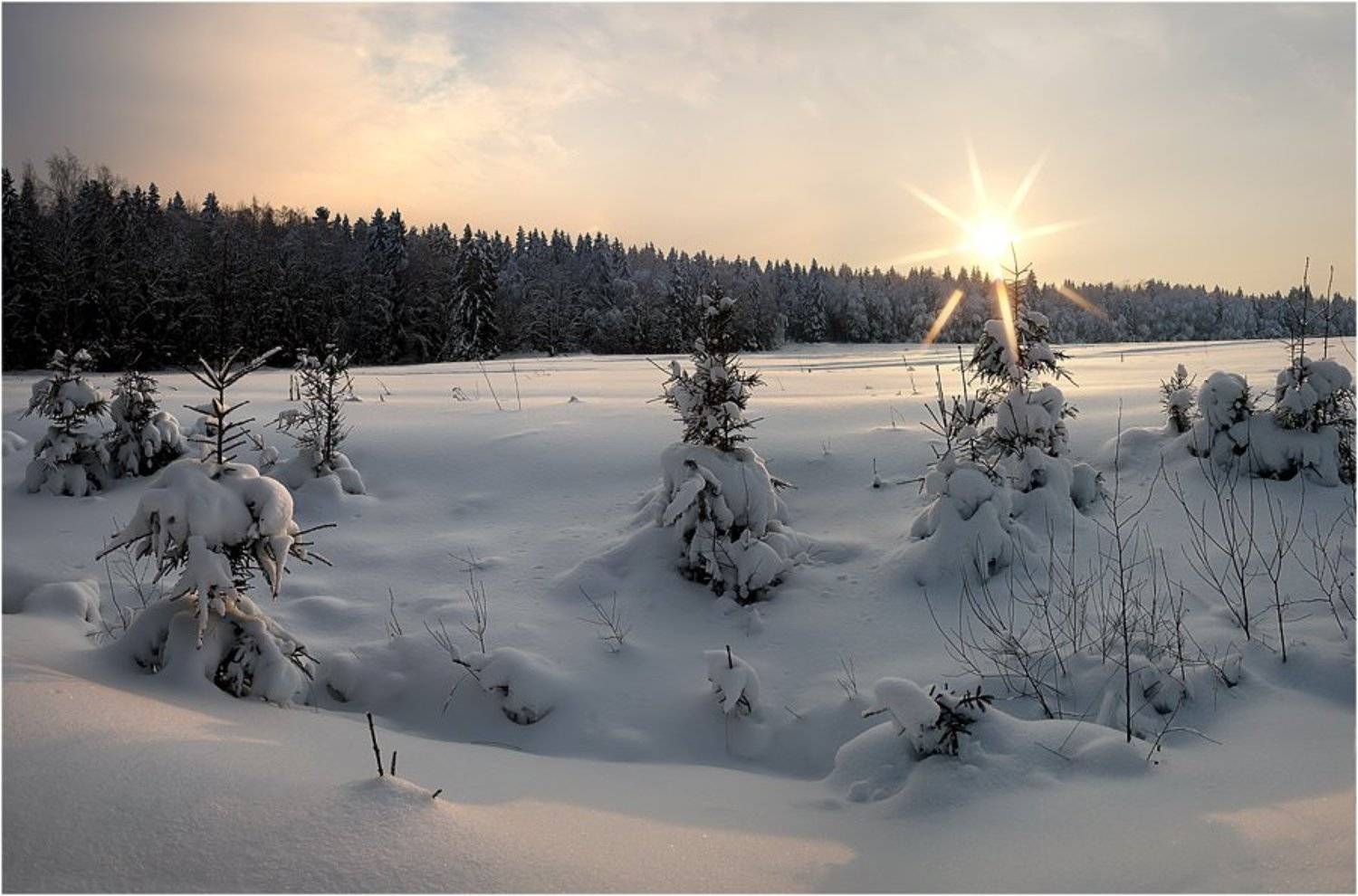 , Katerina Schastlivaya