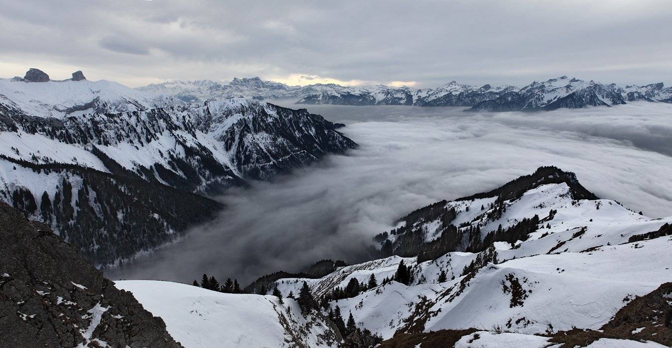 swiss,монтрё, Матвеев Николай