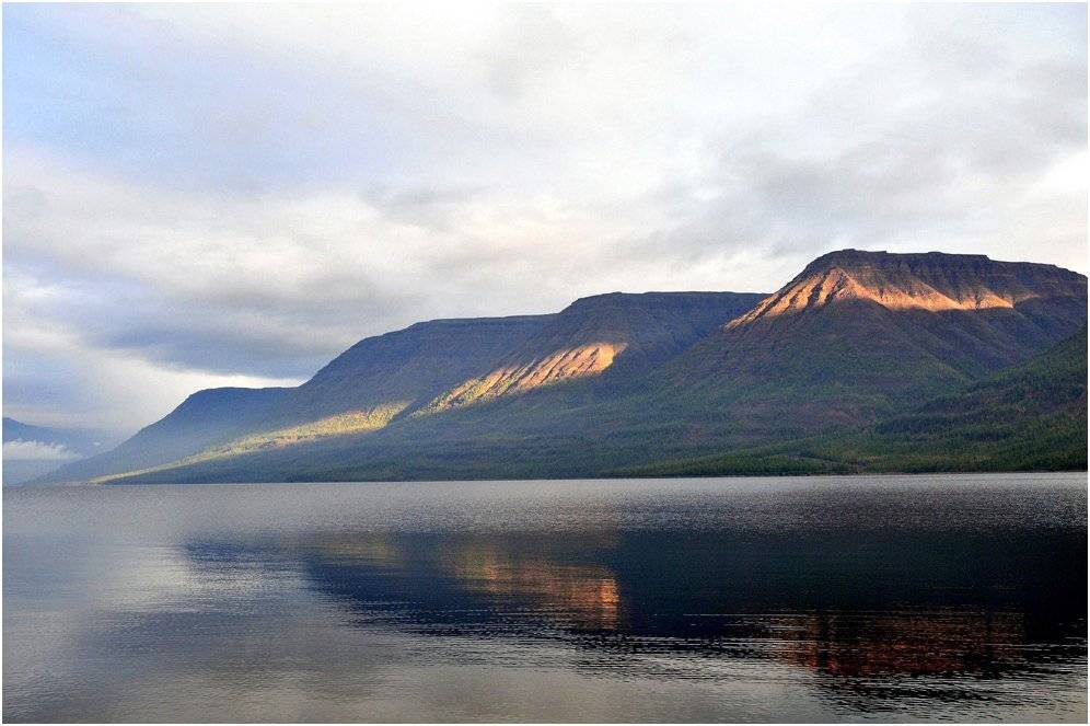 о.лама, Vladimir