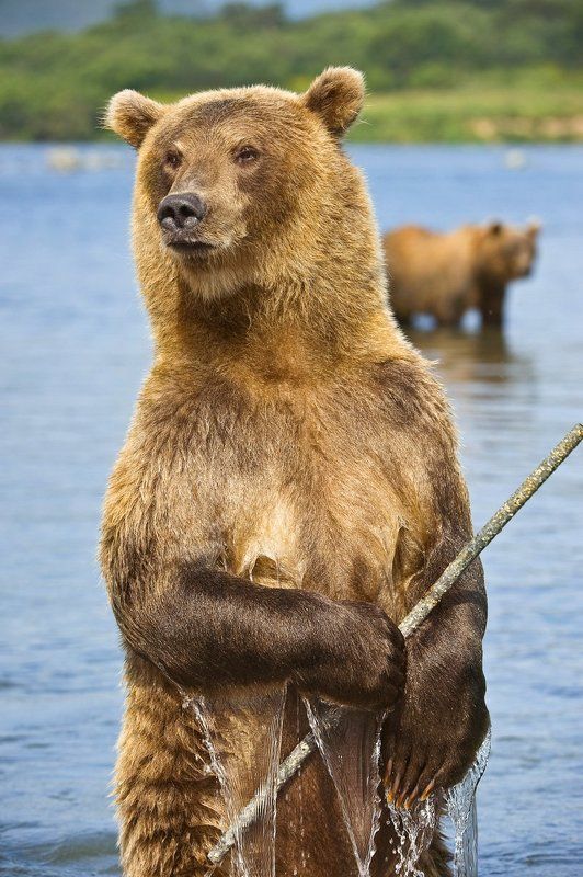 Рыбак