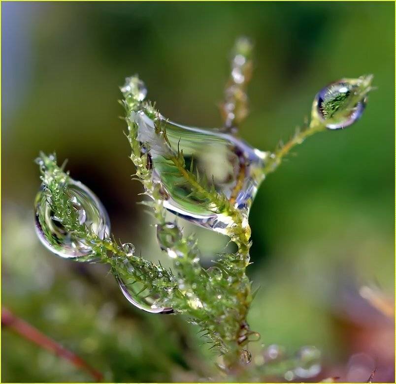 , Андрей Осокин