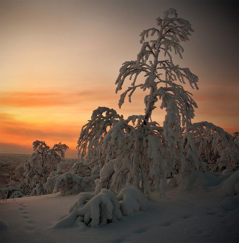 ***Краски северного неба***