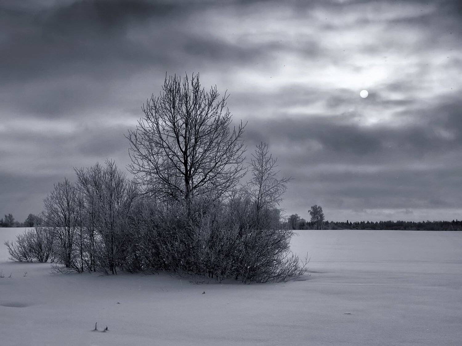 , Максим Евдокимов