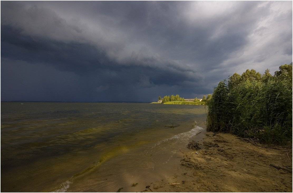 , Николай Шахманцир