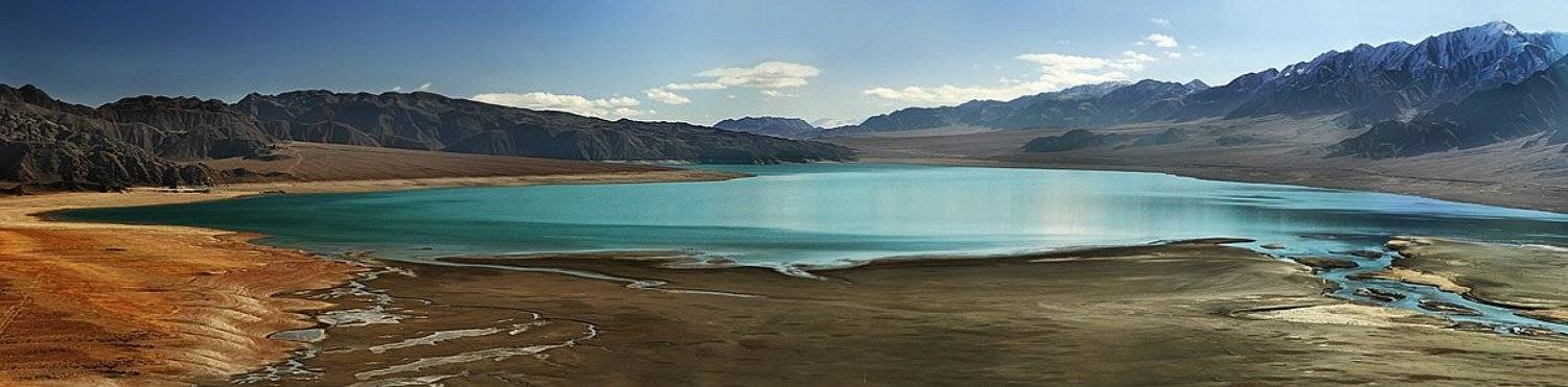 ортотокой, Сергей Салюков