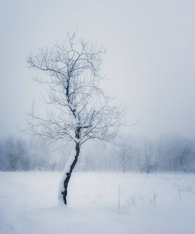 , Сергей Дымченко
