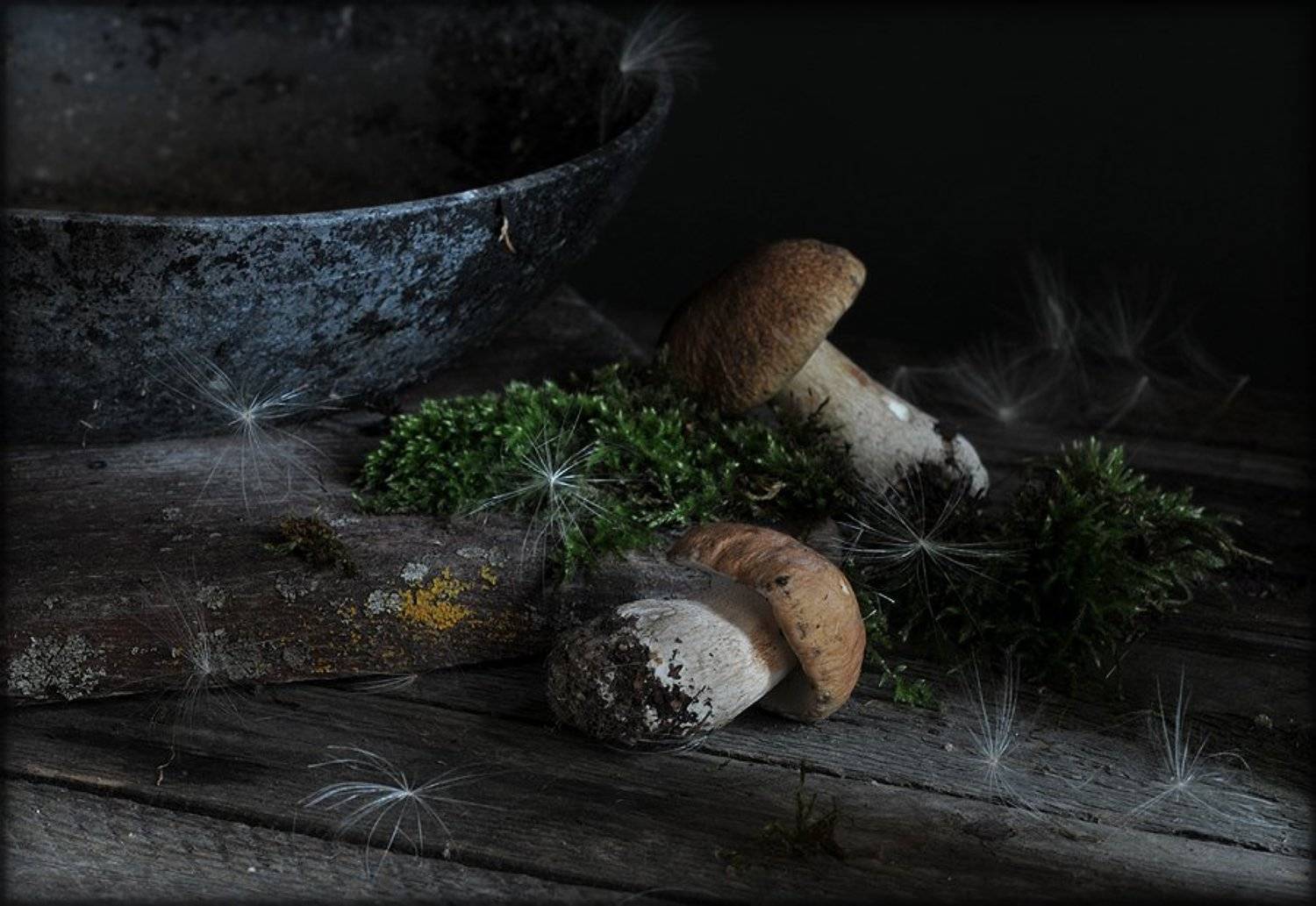 натюрморт,  грибы, Елена Соловьёва