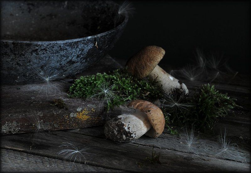 натюрморт,  грибы Про белые... фото превью