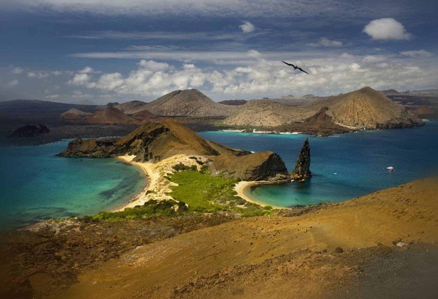 остров бартоломе, эквадор, птица-фрегат, Татьяна Гориловская