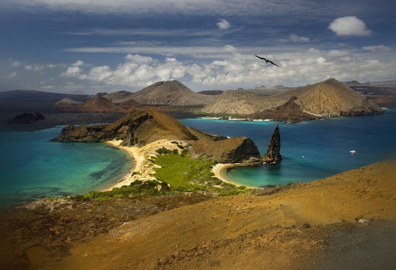 остров бартоломе, эквадор, птица-фрегат Фрегат, над островом парящий... фото превью