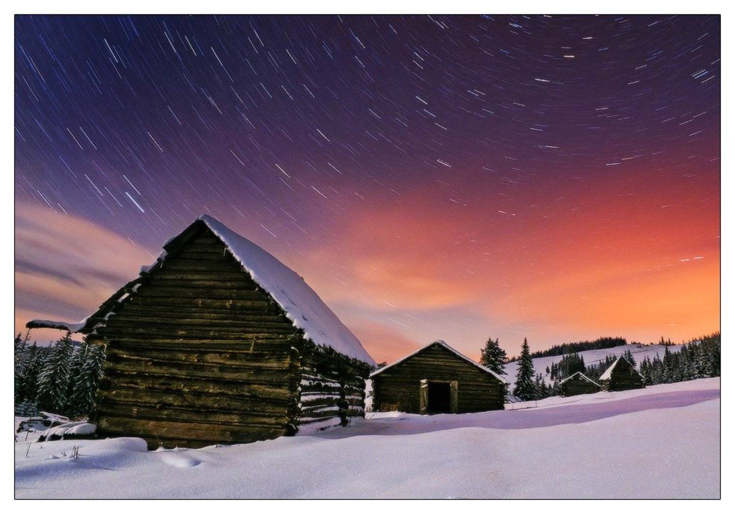 , Денис Кривой