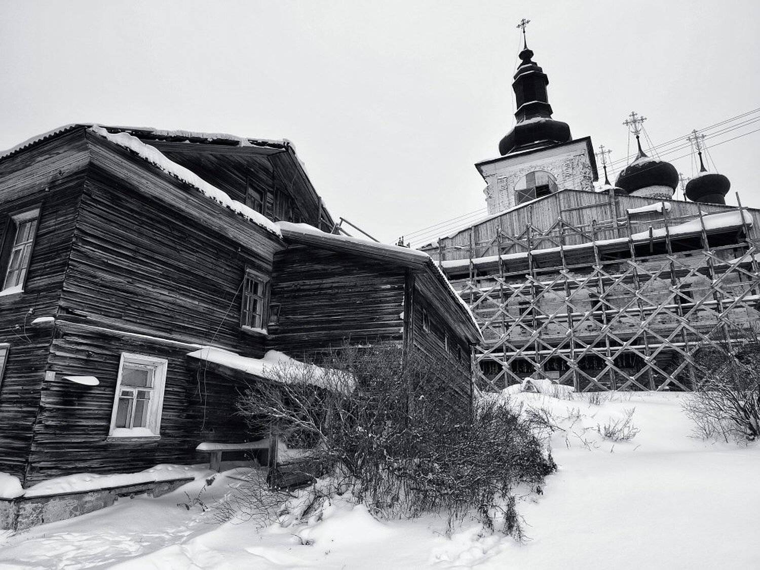 , Максим Евдокимов