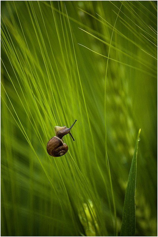 в своём мире фото превью