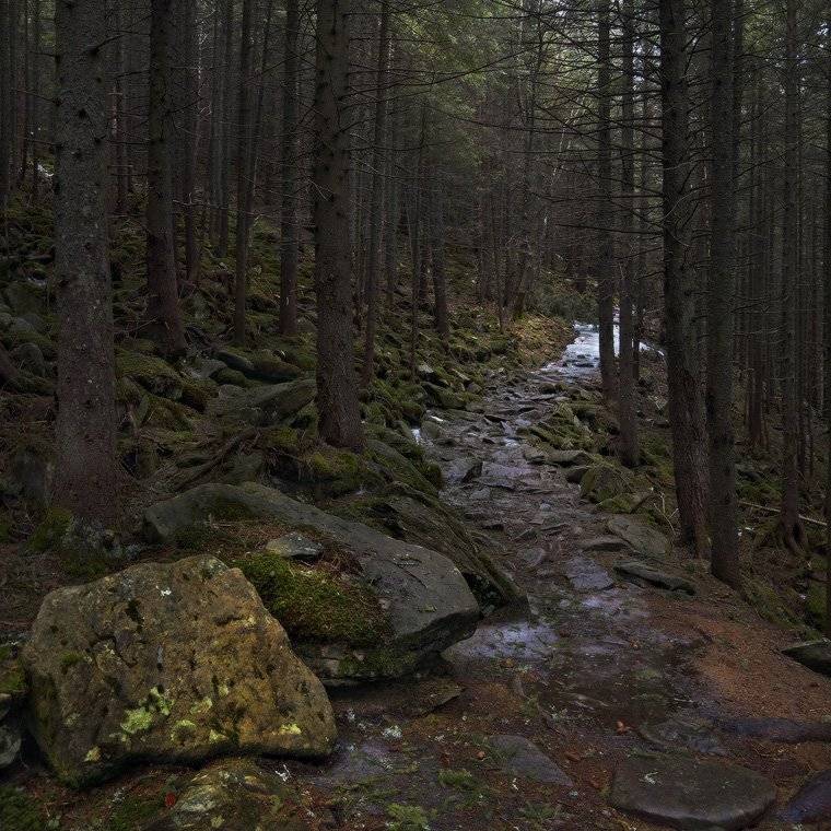 , Михаил Мочалов