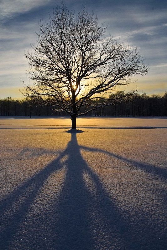 Вечер в парке \