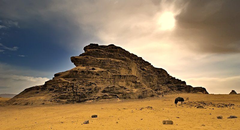 бедуины, пустыня, иордания, солнце под солнцем Иордании... фото превью