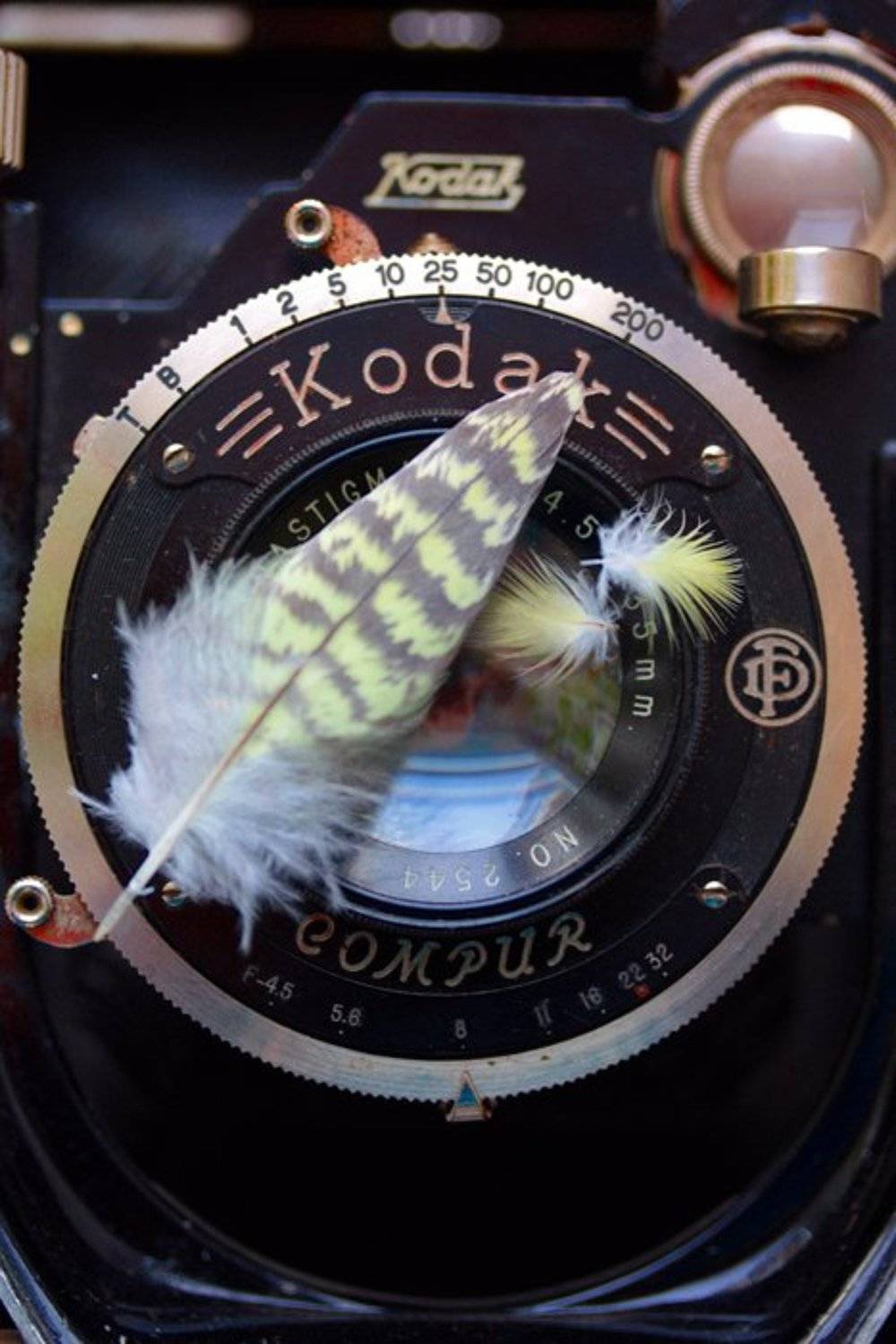 , Татьяна Алешина