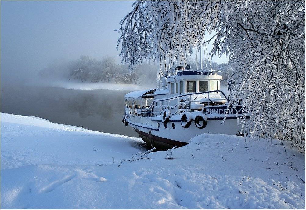 подмосковье, зима, январь, островцы, мороз, Сергей Гаспарян