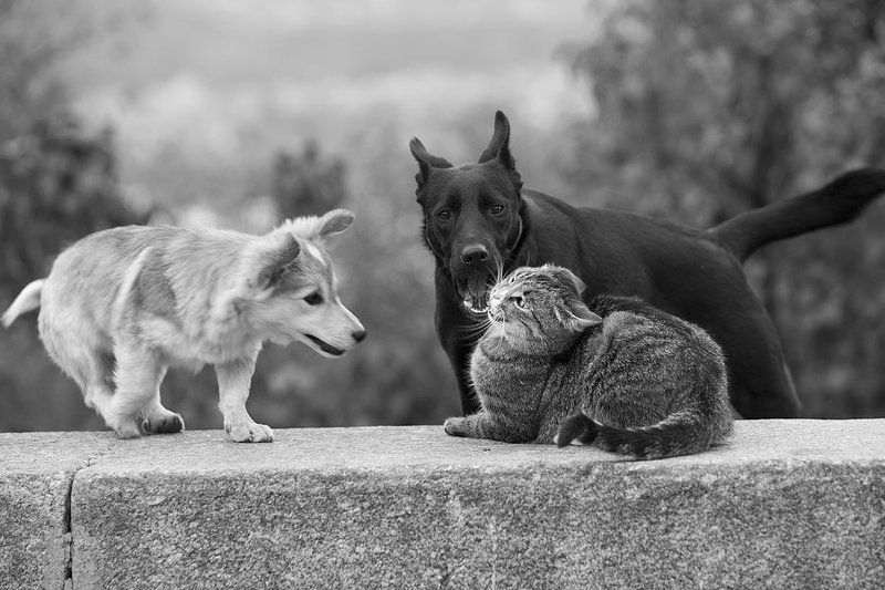 Странные отношения фото превью