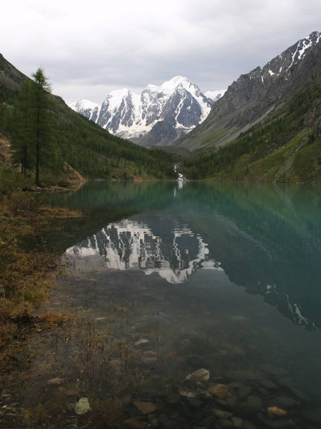 горный, алтай, нижнее, шавлинское, озеро, вечер, август, muscka