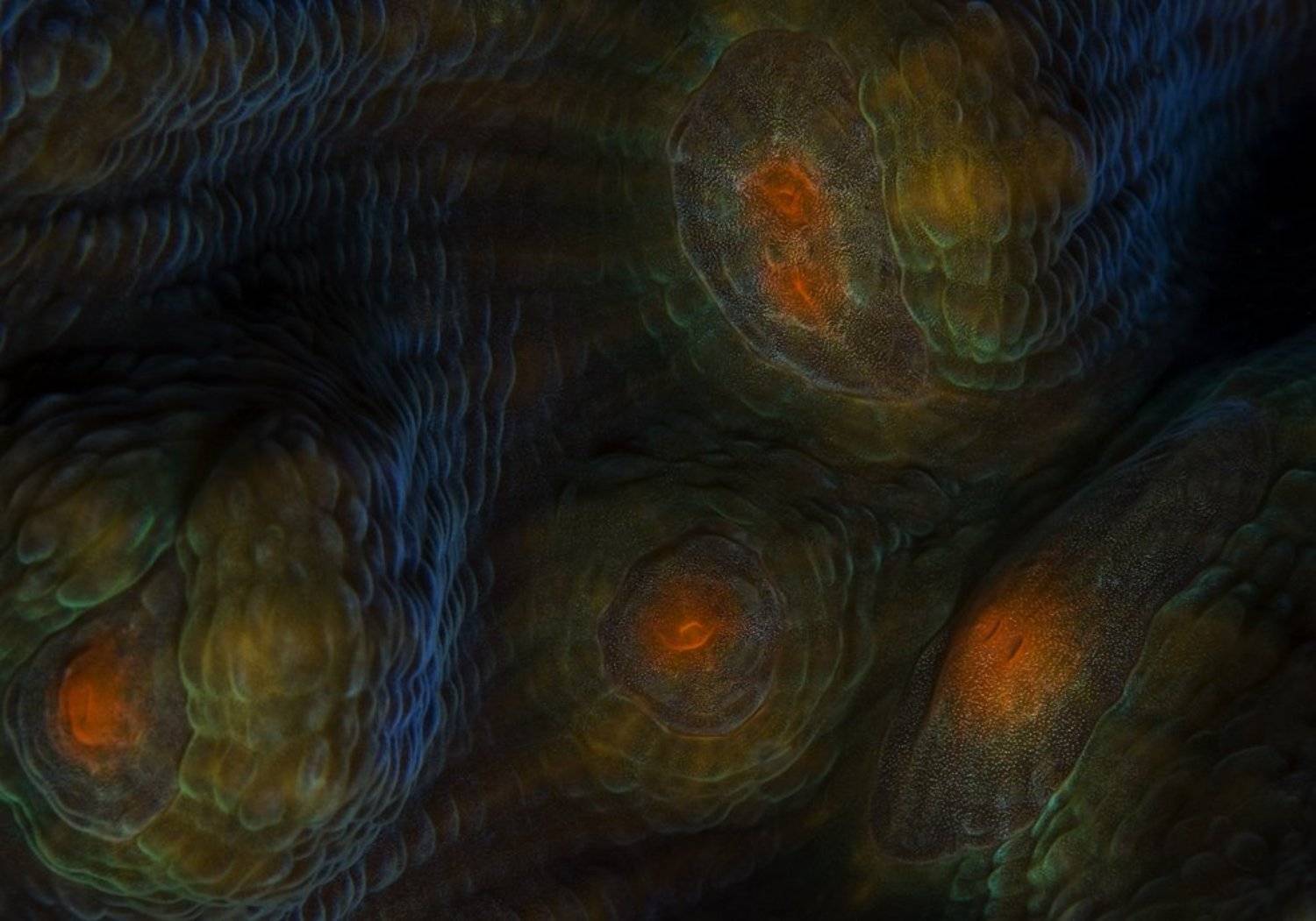 красное, море, Андрей Макеев