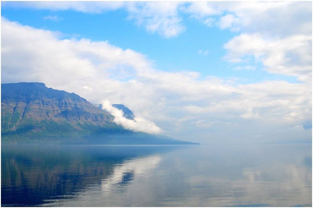 таймыр, Vladimir