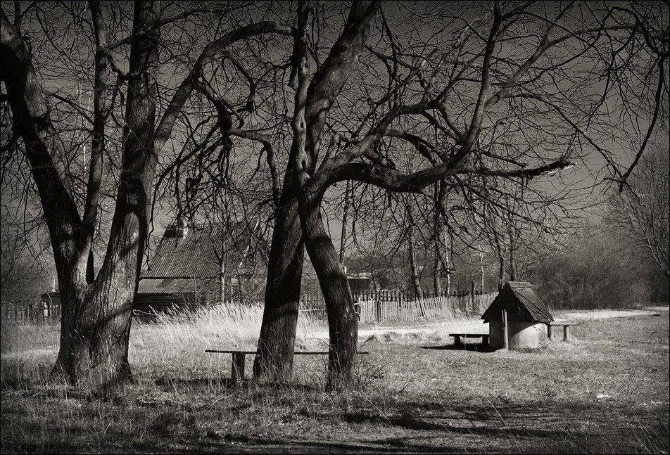 , Александр Гришаев