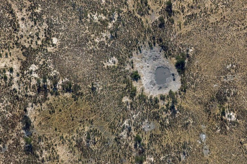 Водопой со слонами фото превью