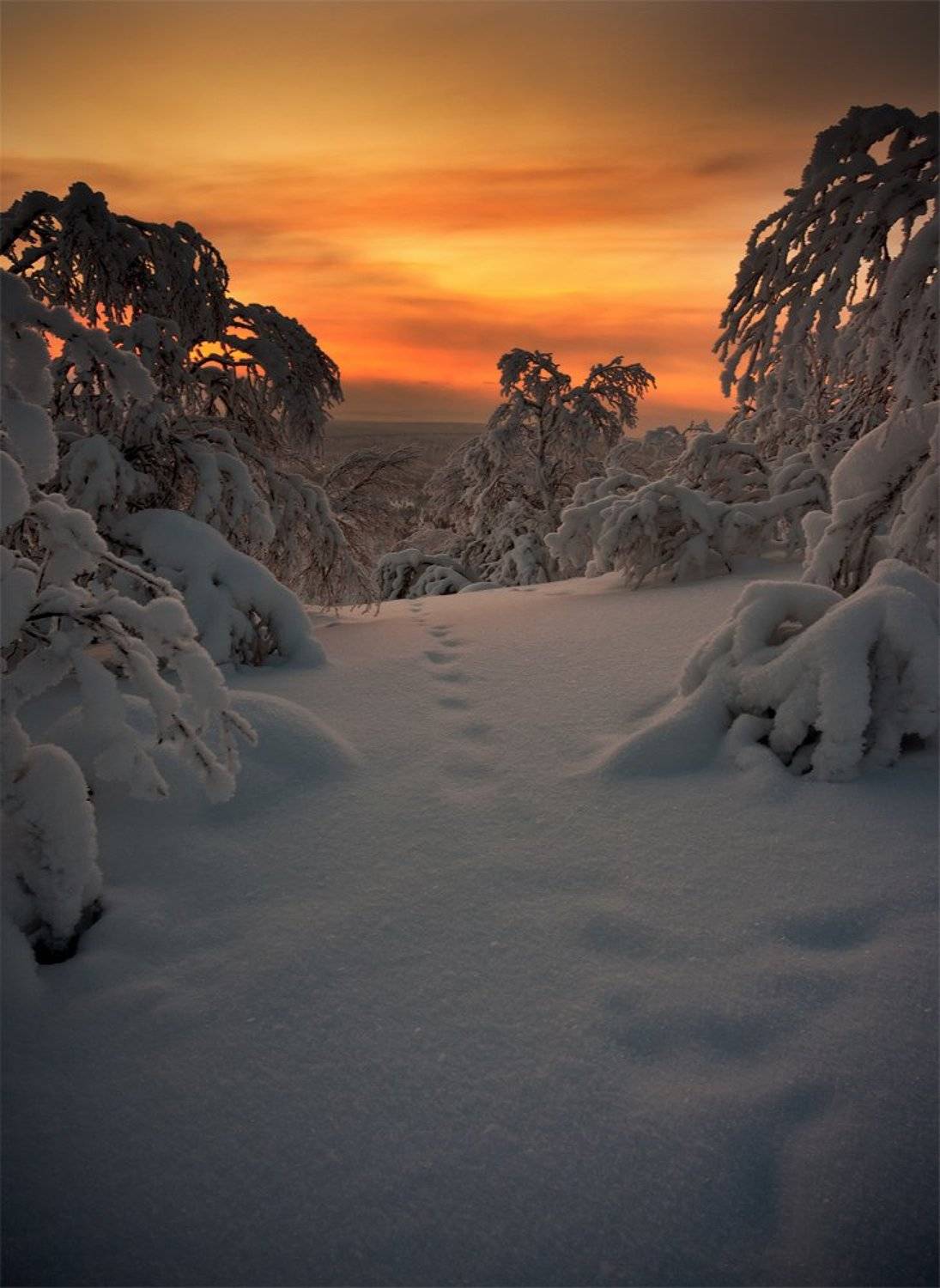 кольский, полуостров, зима, Nikolai (locus)