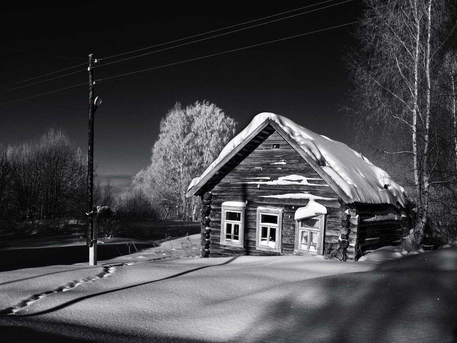 , Максим Евдокимов