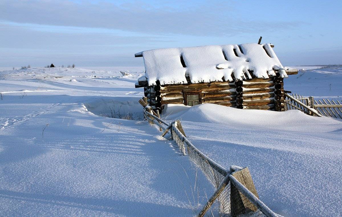 , Андрей Котов